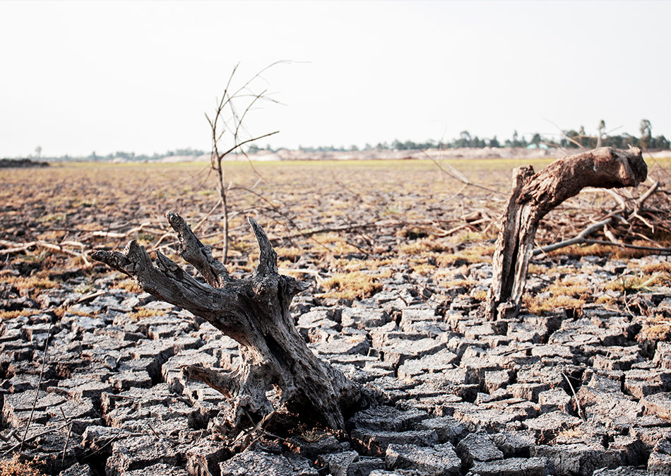 Potential Impact Of Climate Change On Retirement Funds | Modoras